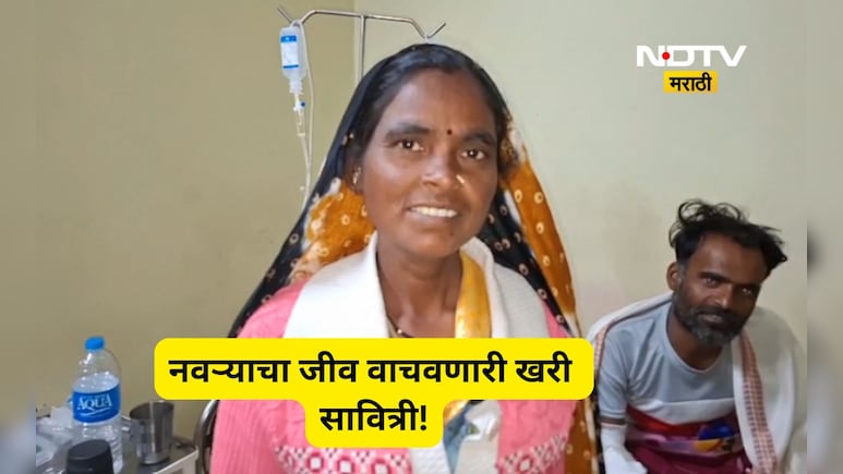 Nashik News: पतीसाठी पत्नीची जीवाची बाजी!, 2 बिबट्यांसोबत एकटी भिडली, शेवटपर्यंत नडली, शेवटी अखेर...