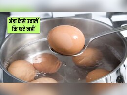 ऐसा क्या करें कि उबलते समय न फटे एक भी अंडा? आजमाएं ये आसान 5 टिप्स और ट्रिक्स, हर कोई पूछेगा तरीका