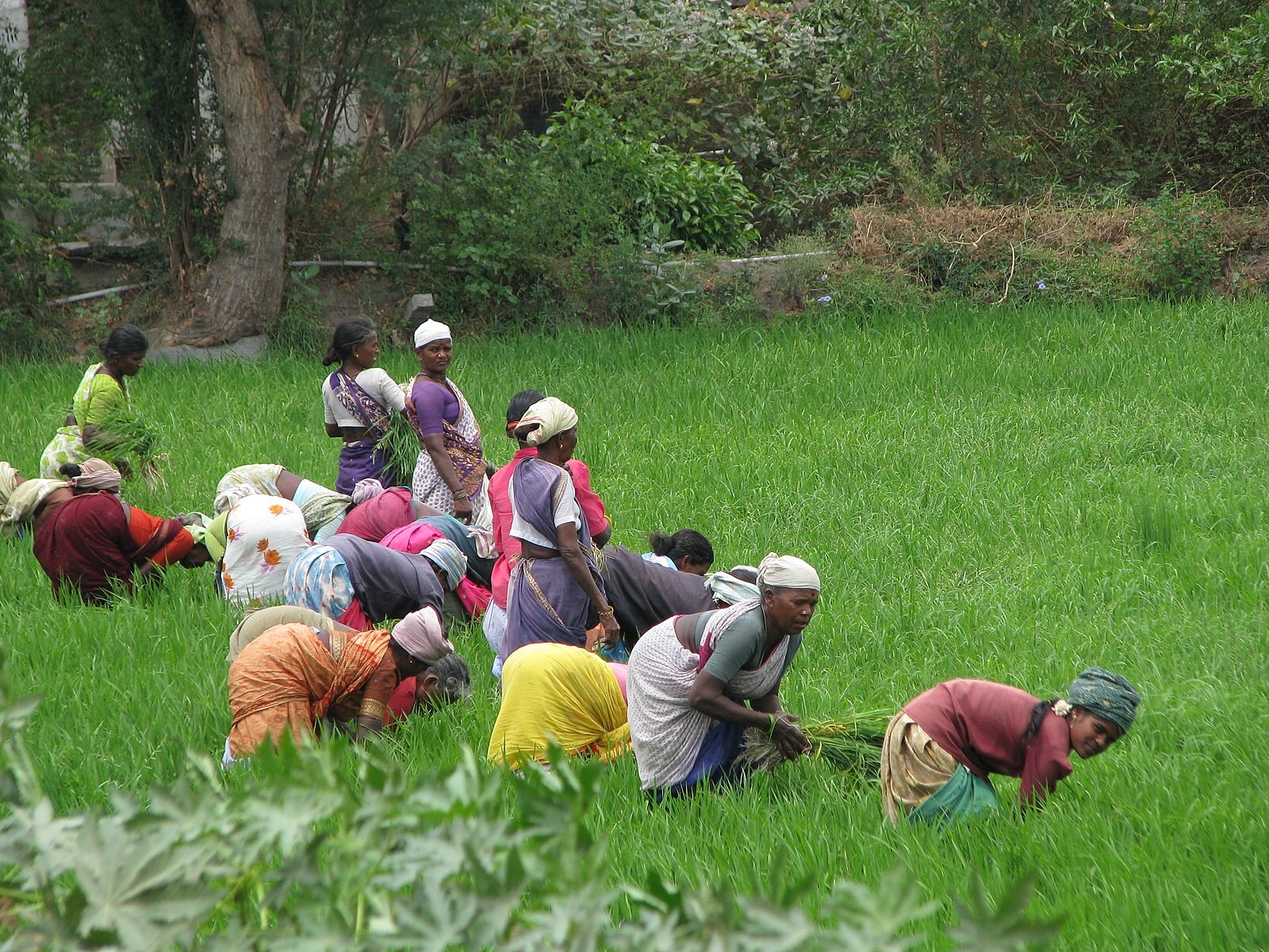 Creating Jobs For Women In Rural India Must Be A Focus, Says Ashwini Deshpande