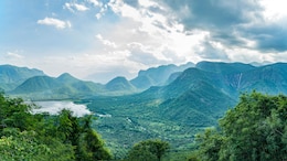 A Food Lover's Guide To Kodaikanal: Where To Eat, Sip And Snack