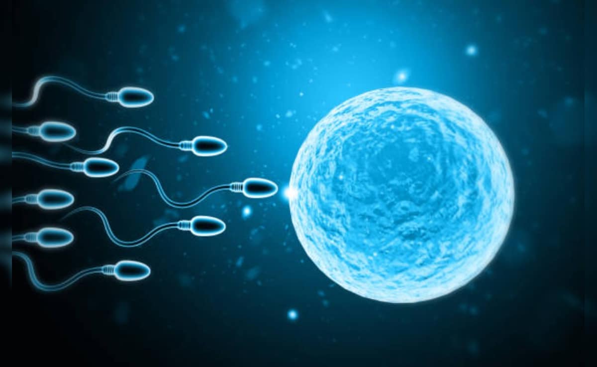 Latest and Breaking News on NDTV Latest and Breaking News on NDTV