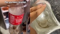 Viral Video Shows Brothers' Annoying Foodie Habit, And It's Too Relatable
