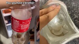 Watch: Viral Video Shows Brothers' Annoying Foodie Habit, And It's Too Relatable