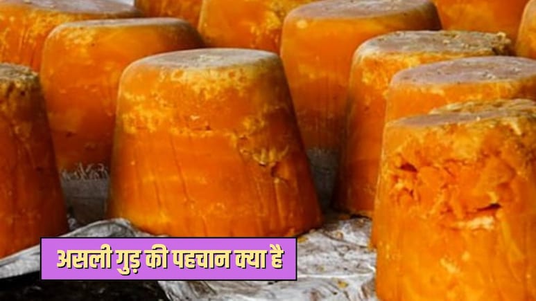 कहीं आप जो गुड़ खा रहे हैं वह नकली तो नहीं? इन 5 तरीकों से कर लें पहचान, मीठे जहर से बच जाएंगे आप