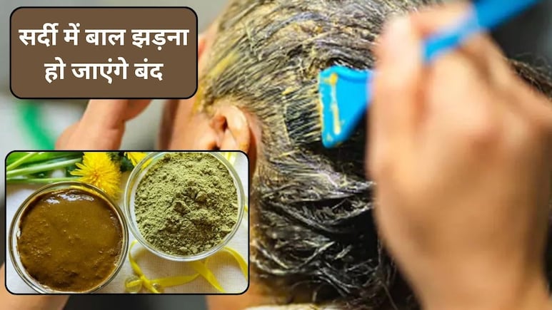 मेहंदी के साथ इन 3 चीजों को मिलाकर लगाएं, बाल झड़ना हो जाएंगे बंद, सफेद बालों से भी मिलेगा छुटकारा