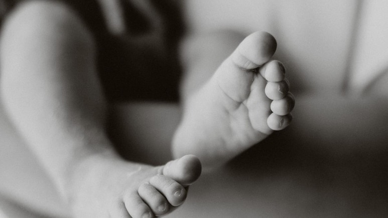 Palghar News :  कुत्र्याने पायाचा लचका तोडला, 4 दिवसांच्या बाळाला उघड्यावर टाकलं; आईचं संतापजनक कृत्य उघड