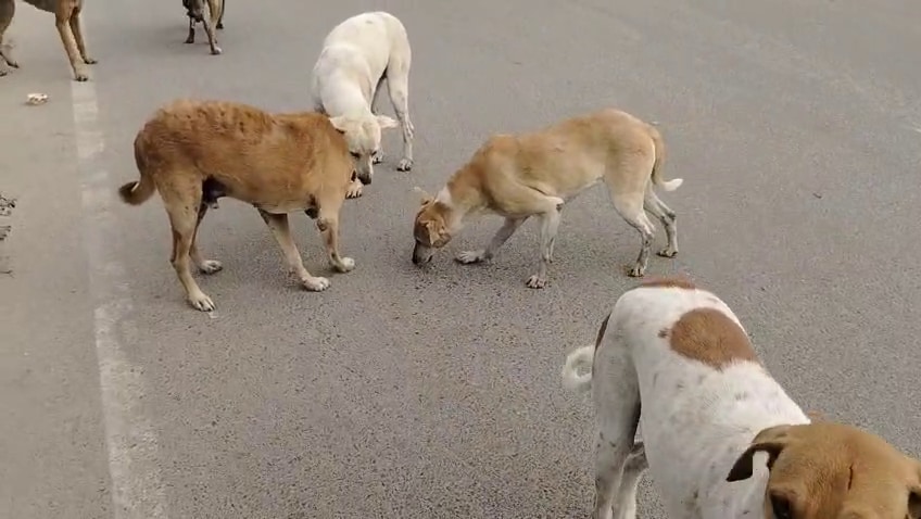 Latest and Breaking News on NDTV Latest and Breaking News on NDTV