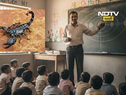School Teacher : शिक्षकांना आता साप, विंचू पकडण्याची नवी ड्यूटी ! सरकारी आदेशानं संतापाची लाट