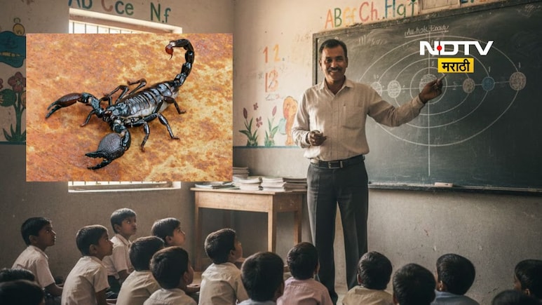 School Teacher : शिक्षकांना आता साप, विंचू पकडण्याची नवी ड्यूटी ! सरकारी आदेशानं संतापाची लाट