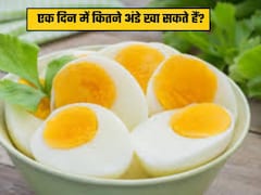 क्या होगा अगर मैं एक दिन में 3 अंडे खाऊंगा? डॉक्टर शुभम वत्स ने बताया खाने का सही तरीका नहीं पहुंचेगा कोई नुकसान Recipe