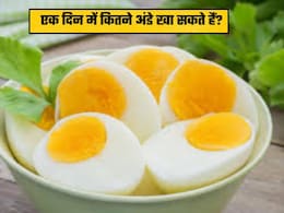 क्या होगा अगर मैं एक दिन में 3 अंडे खाऊंगा? डॉक्टर शुभम वत्स ने बताया खाने का सही तरीका नहीं पहुंचेगा कोई नुकसान