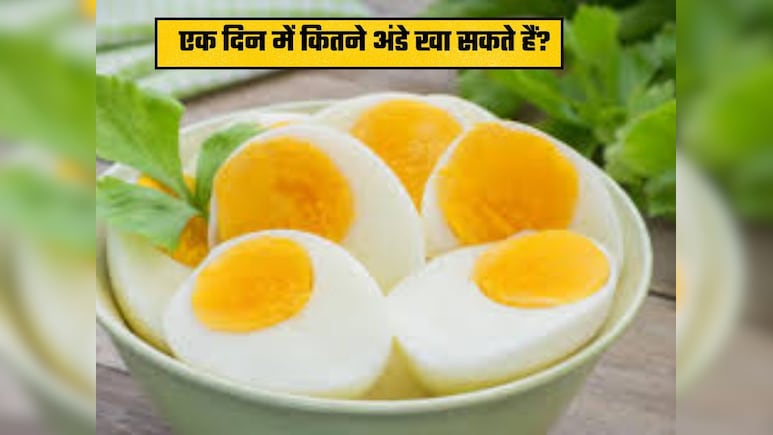 क्या होगा अगर मैं एक दिन में 3 अंडे खाऊंगा? डॉक्टर शुभम वत्स ने बताया खाने का सही तरीका नहीं पहुंचेगा कोई नुकसान