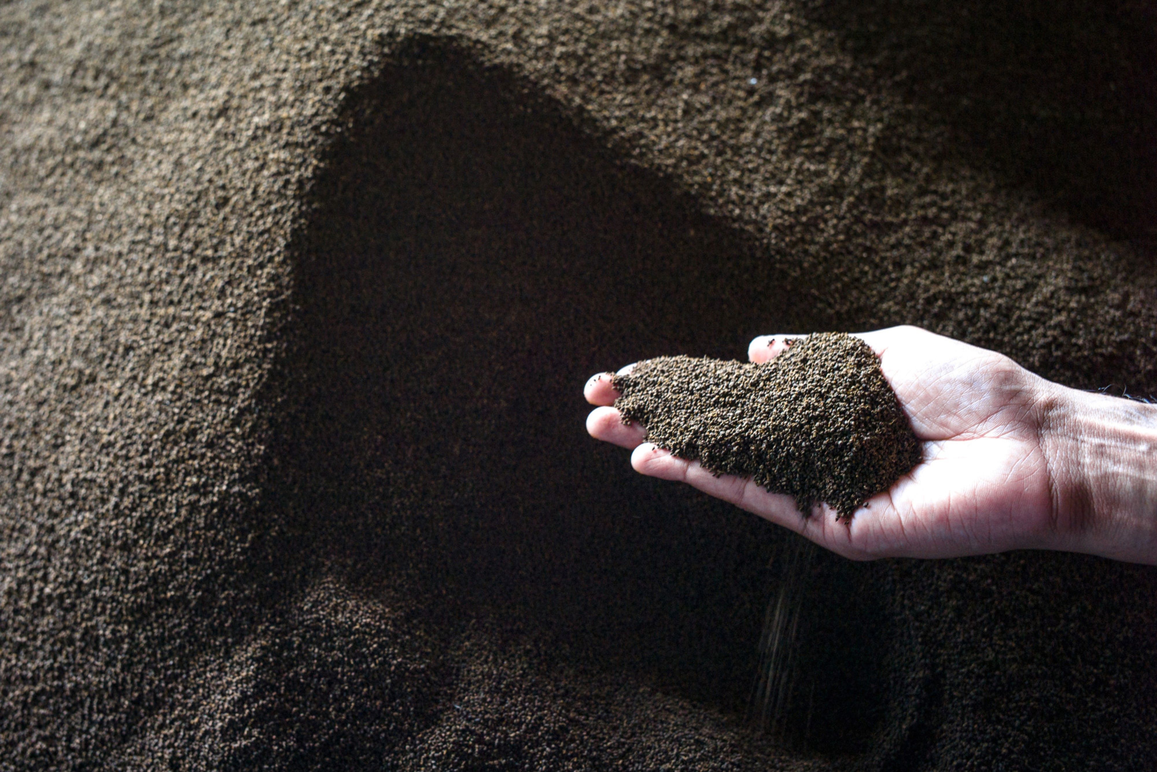 ICICI Securities: Inflation In Tea Prices - A Transitory Impact