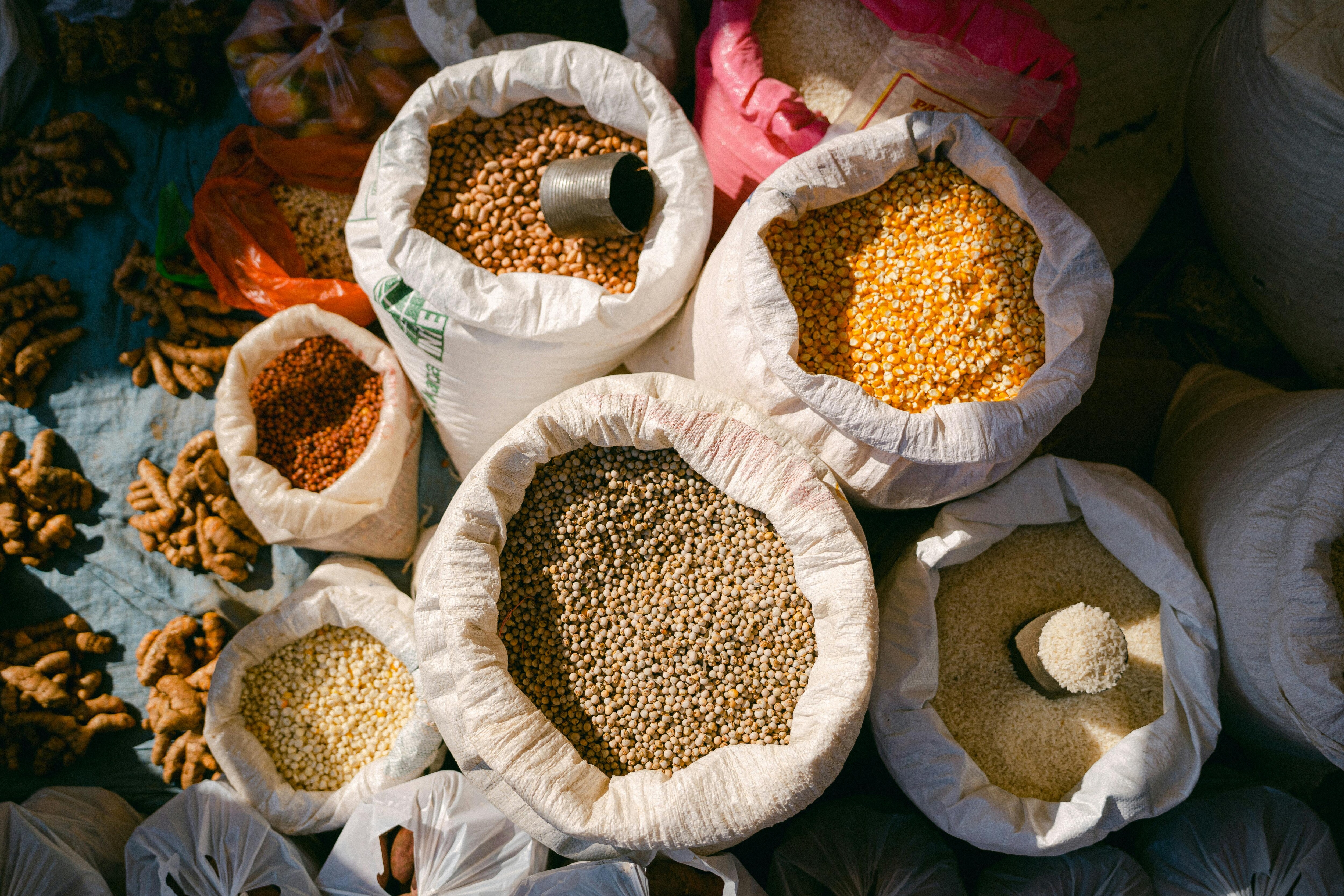 PMGKAY: Food Ministry To Partner Tax Department To Remove Ineligible Beneficiaries