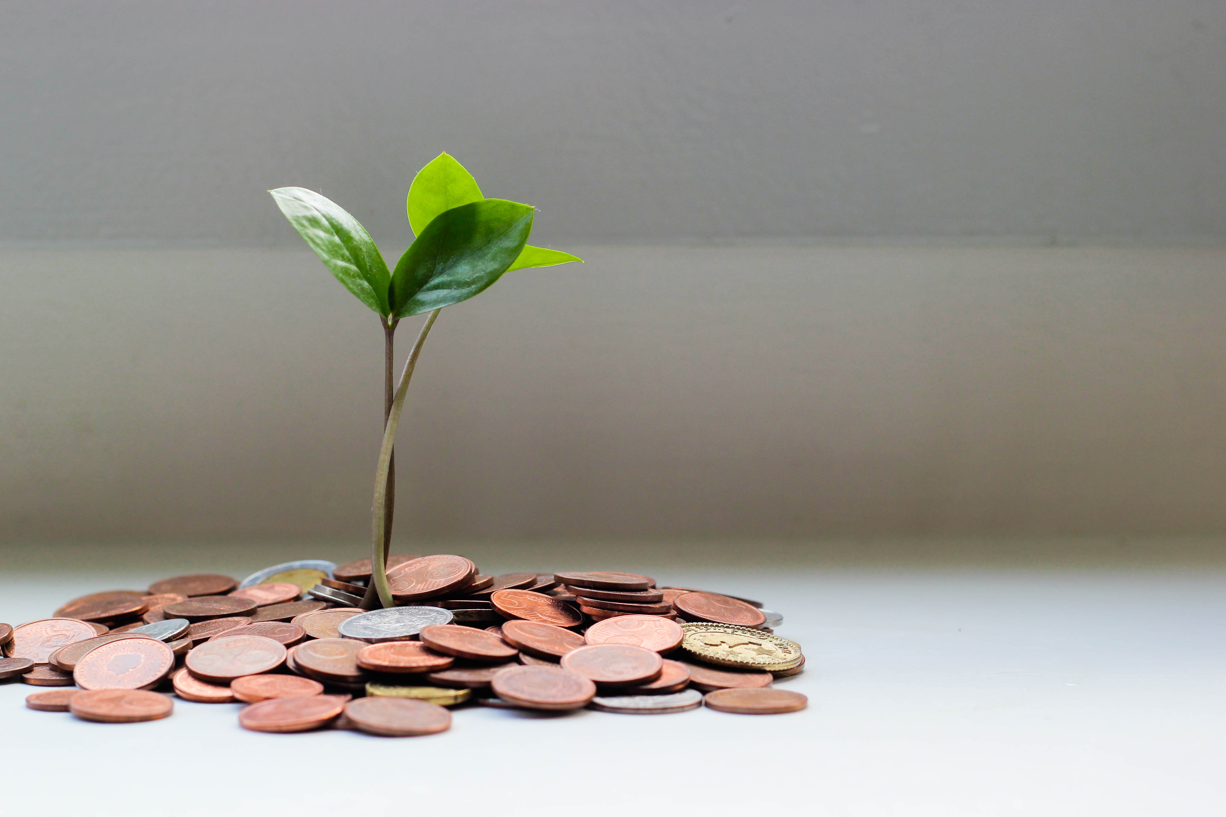 Power Finance Corp Bags Rs 147-Crore Loan For Wind Energy Project In Karnataka