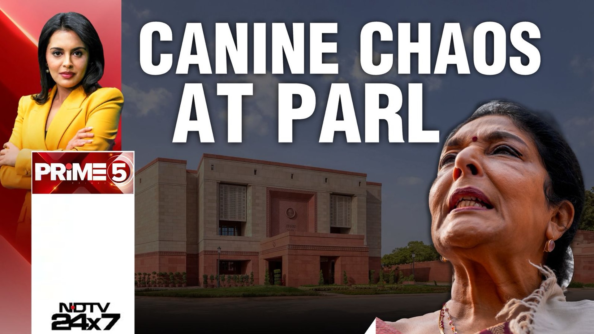 "Woof Woof": Congress' Renuka Chowdhary 'Barks' In Bite On Dog Row