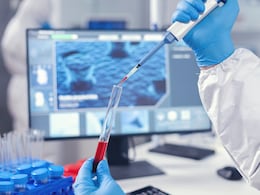 New Study Reveals That Fixing Body Clock Rhythms In Mice Can Reduce Cancer Risk