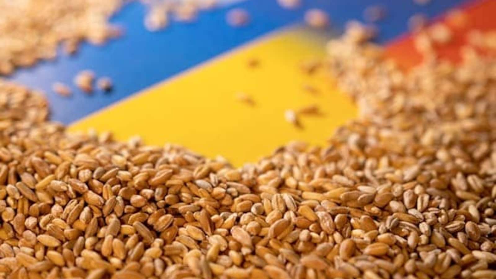 Prices To Cool By Rs 5-6/Kg After Centre's Move To Sell Wheat In Open ...