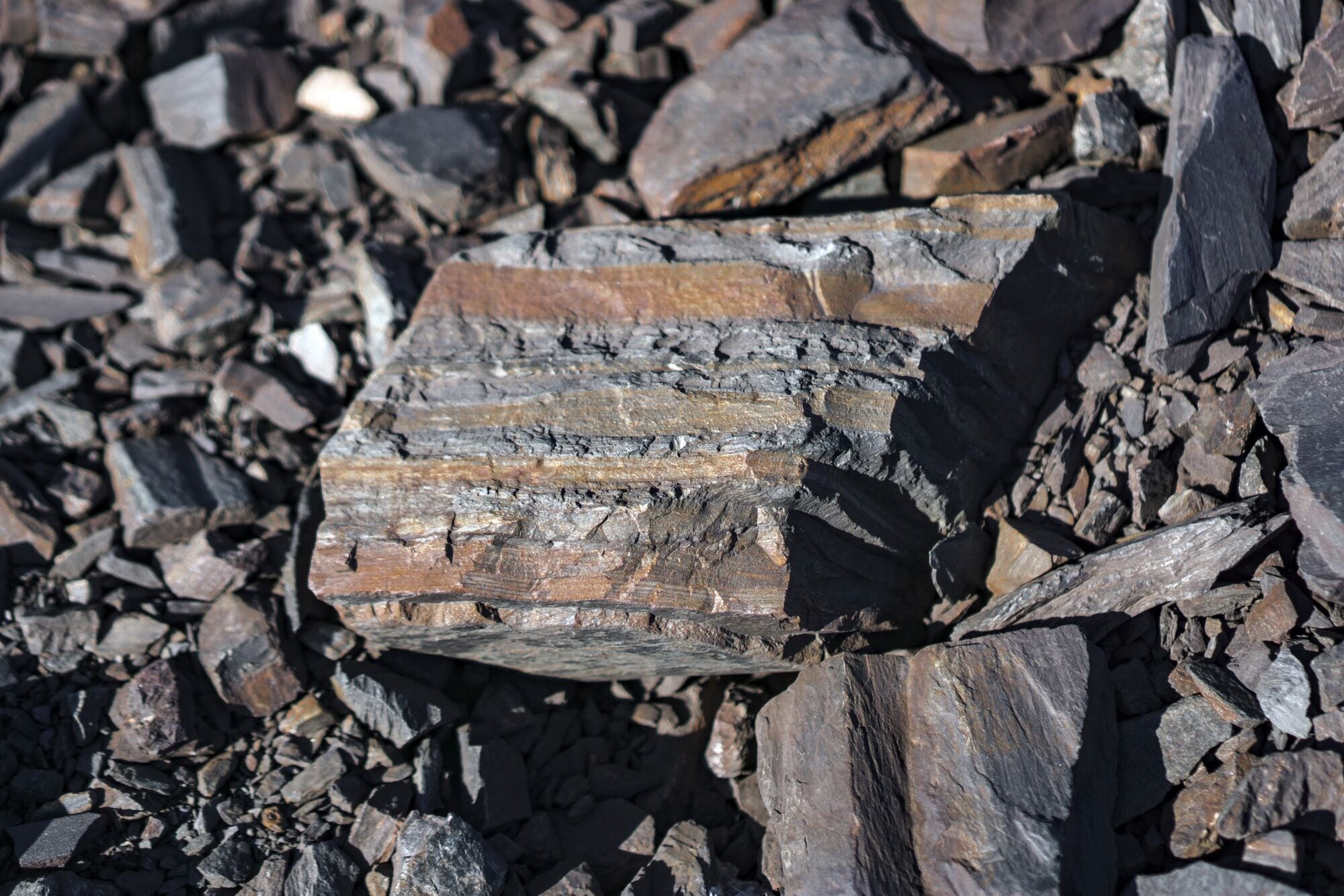 China Scoops Up Cheap Indian Iron Ore in Bid to Trim Steel Costs