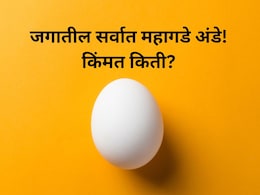 Worlds Most Expensive egg: अबब! 'हे' आहे जगातील सर्वात महागडे अंडे? किंमतीत येतील 10 हेलिकॉप्टर