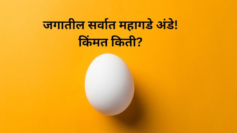 Worlds Most Expensive egg: अबब! 'हे' आहे जगातील सर्वात महागडे अंडे? किंमतीत येतील 10 हेलिकॉप्टर