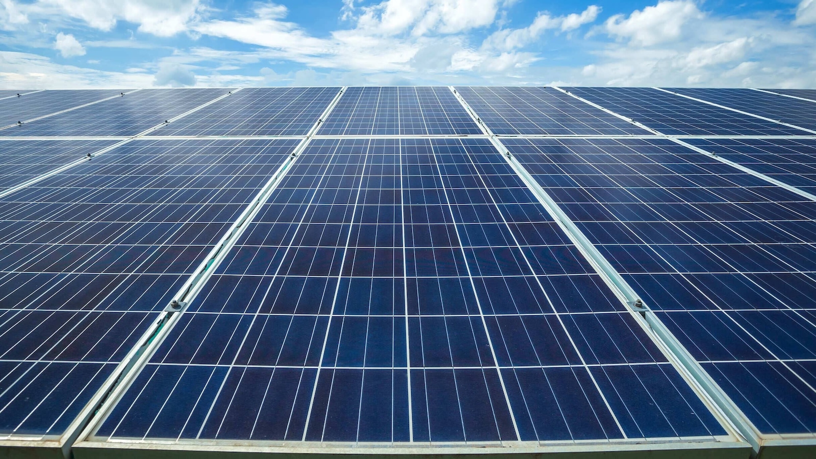 Waaree Energies Q3 Results: Date, Time, Earnings Call Details, Share ...