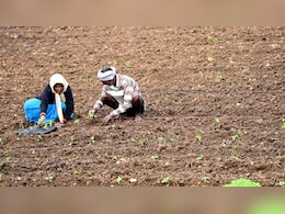 खेती-किसानी के लिए खुशखबरी: रबी सीजन में बुआई का ग्राफ चढ़ा, गेहूं बना किसानों की पहली पसंद