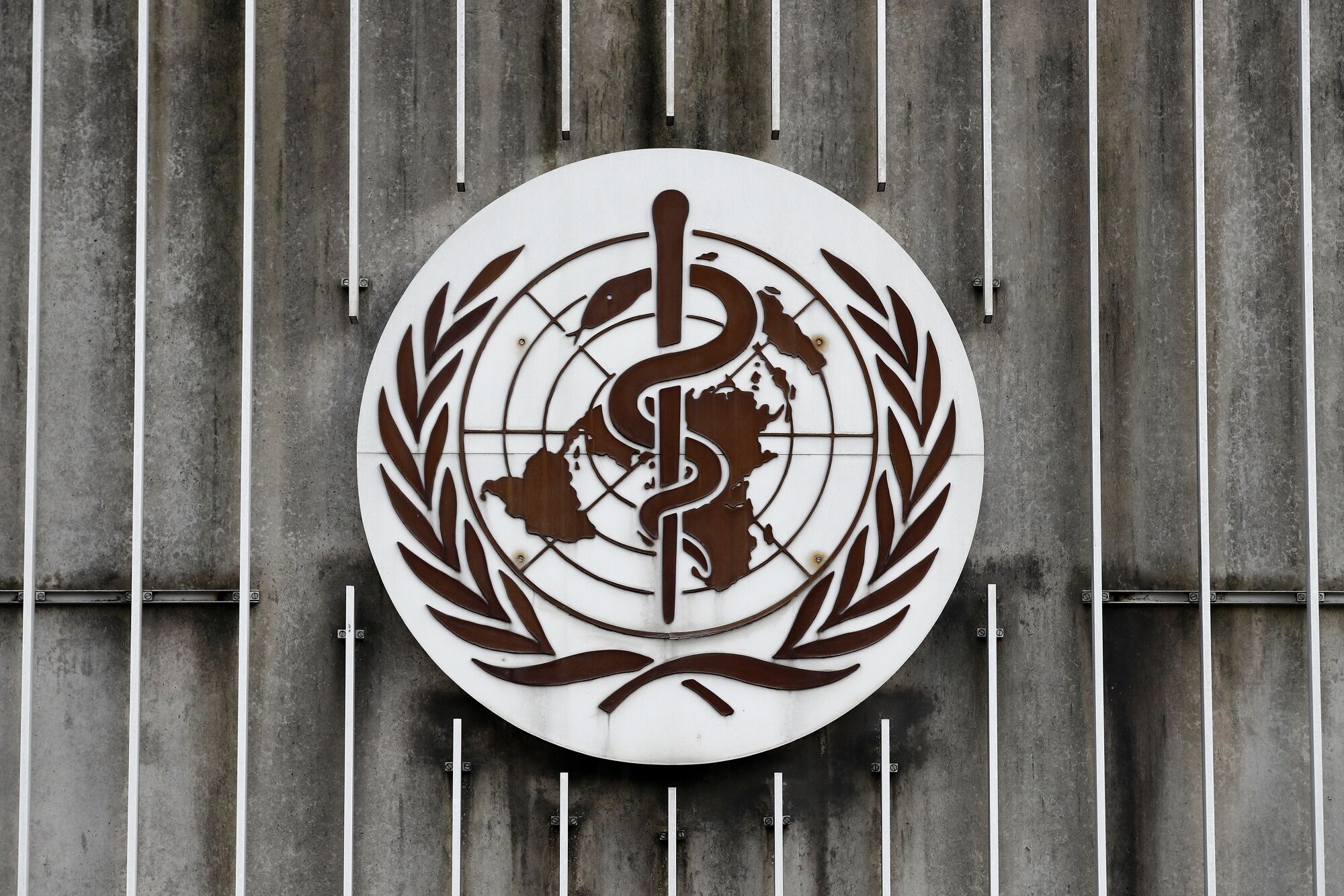 WHO Calls Mpox Outbreak In Africa A Global Health Emergency