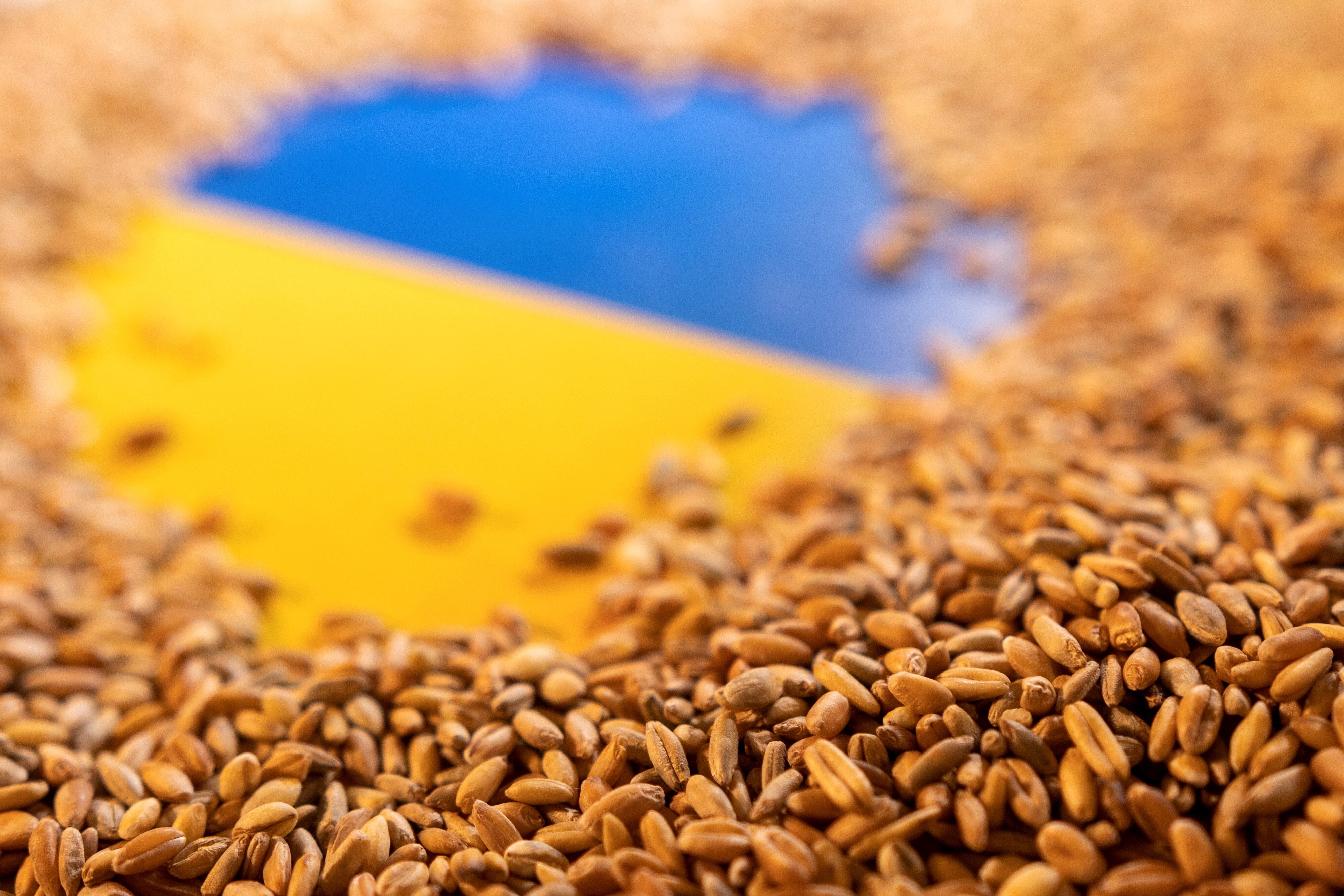 Floating Black Sea Mines Between Ukraine's Grain Stocks And World: Report