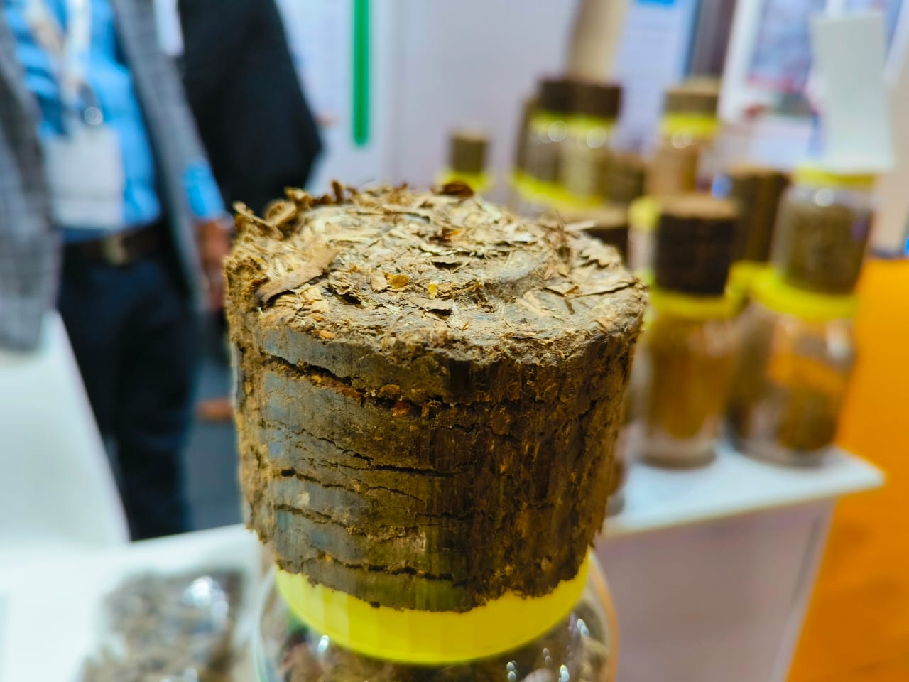 Untapped Biomass Waste Can Aid Fossil Fuel Replacement: Biofuels Junction MD