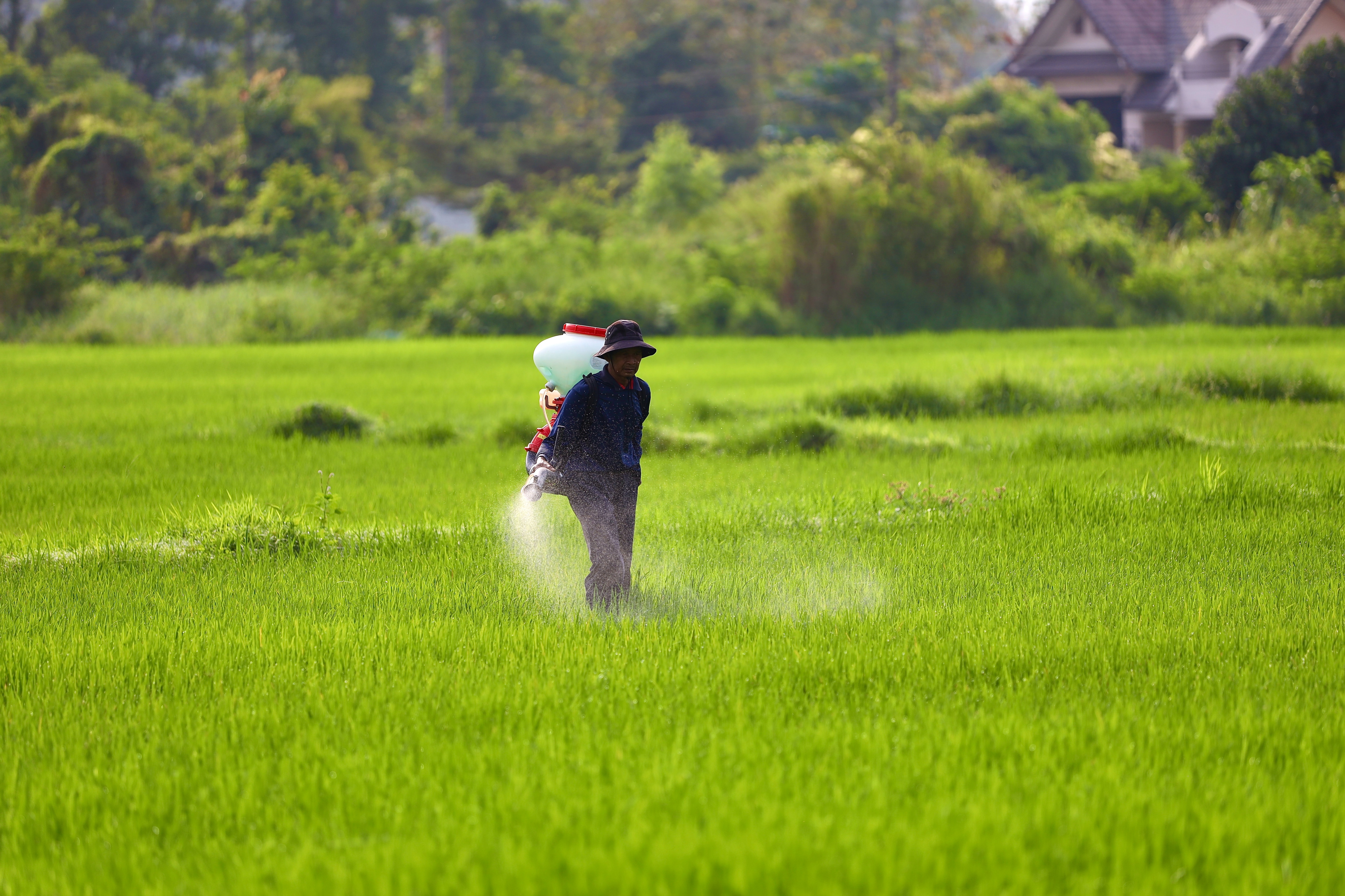 Agro Chemicals Q4 Results Preview - CSM Segment Likely To Lead Sector Growth: Nirmal Bang
