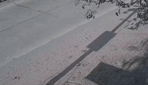 LPG सिलेंडर से भरे पिकअप गाड़ी ने युवक को कुचला, तीन बेटियों के सिर से उठा पिता का साया