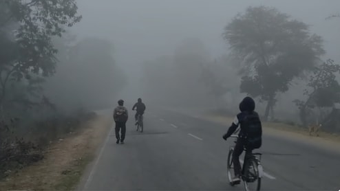 MP Weather: नए साल का बर्फीला आगाज, ठंड के थर्ड ड&zwj;िग्री टॉर्चर ने कराई स्&zwj;कूलों की छुट्टी, जानें IMD अलर्ट