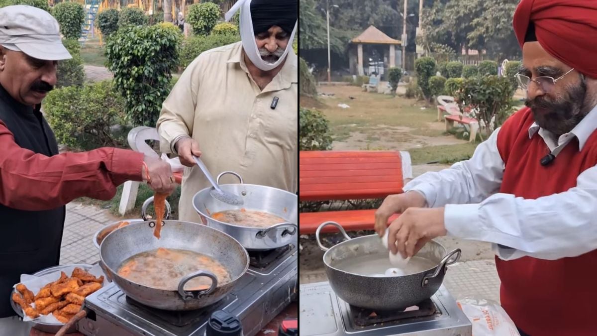 From Frying Fish To Boiling Eggs: Punjabi Uncles In Delhi Go Viral For Cooking In Park