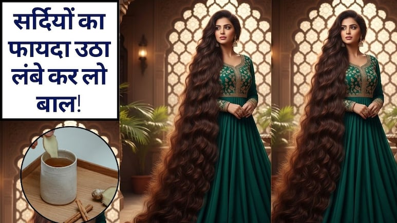 बालों में रोज़मेरी का तेल लगाने से क्या होता है? बालों को तेजी से कैसे बढ़ाएं, रोजमेरी तेल बालों में कैसे लगाएं