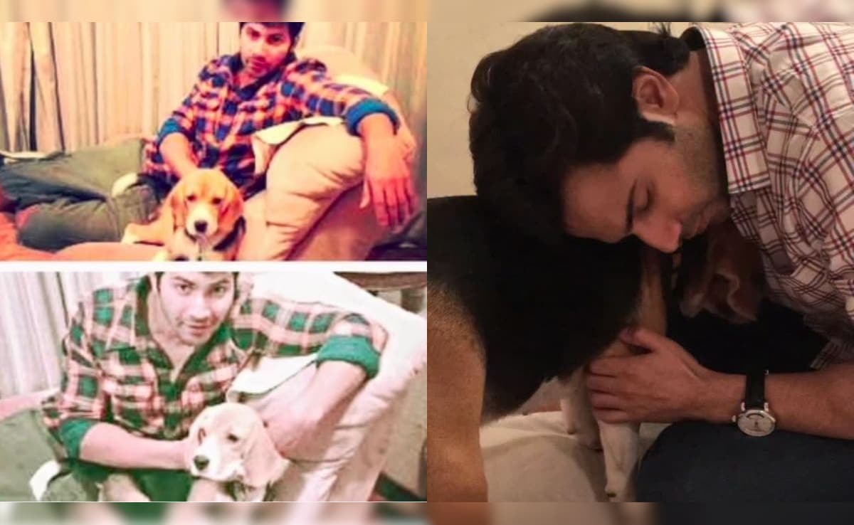 Varun Dhawan's Pet Dog Angel Dies, Actor Shares Emotional Note: "We Will Miss You"