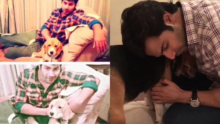 Varun Dhawan's Pet Dog Angel Dies, Actor Shares Emotional Note: "We Will Miss You"