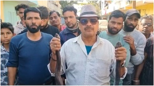 नागिन से मिलने आता था नाग&hellip;सागर की कॉलोनी में एक महीने से दहशत, 5 घंटे के रेस्क्यू के बाद निकला कोबरा जोड़ा
