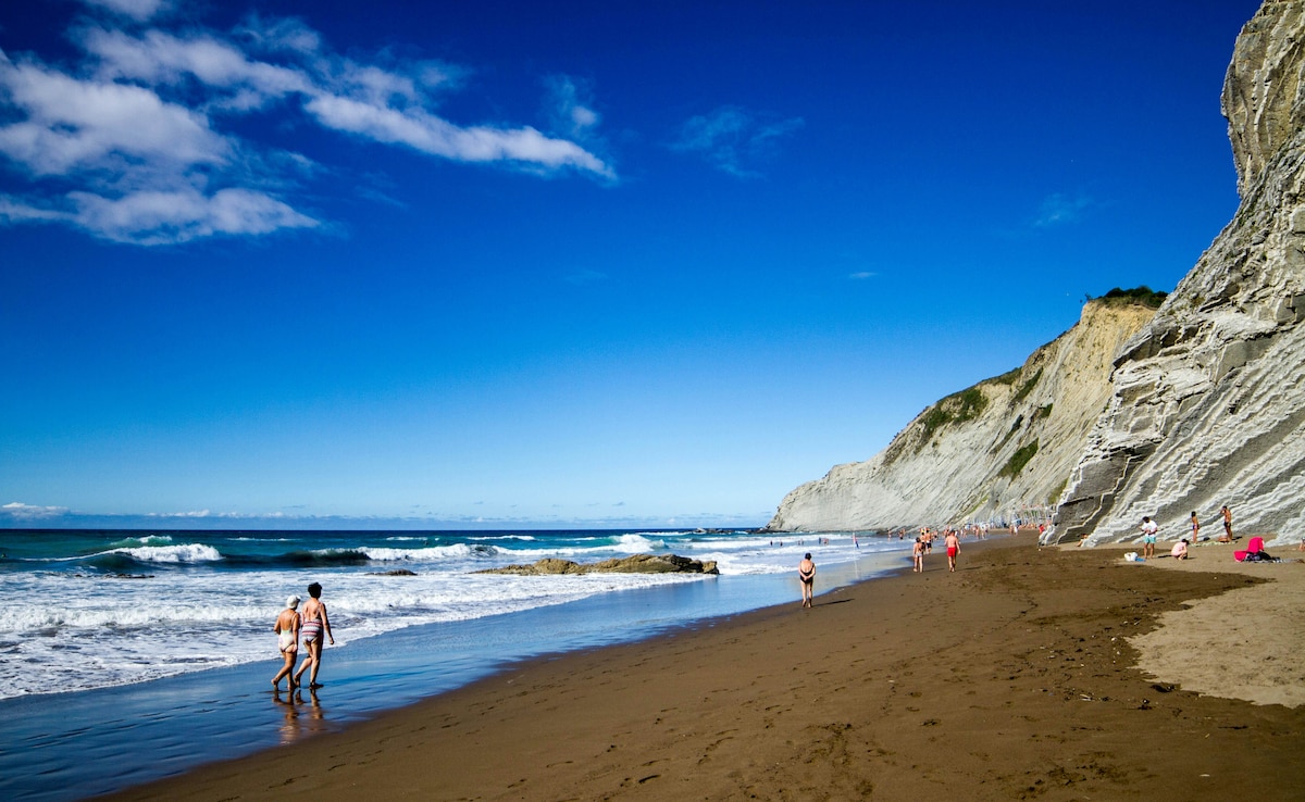 Travel Tips: अगर कभी Beach Trip पर जाएं, तो भूलकर भी घर वापस न लाएं ये 5 चीजें