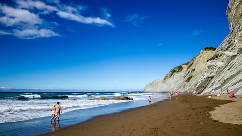 Travel Tips: अगर कभी Beach Trip पर जाएं, तो भूलकर भी घर वापस न लाएं ये 5 चीजें