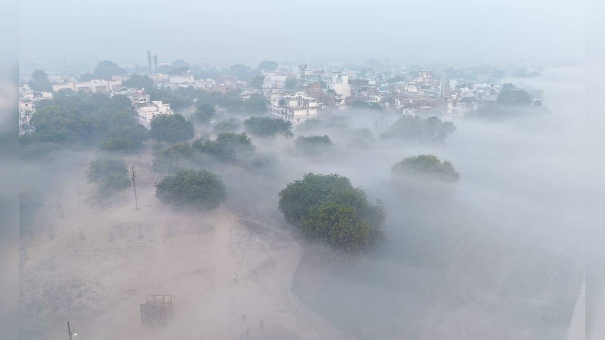 MP Weather: कोहरे की चादर में डूबा मध्यप्रदेश, रीवा में 50 मीटर ...