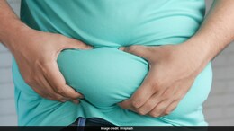 Gut Bacterium Turicibacter Could Improve Metabolic Health, Reduce Weight Gain: Study