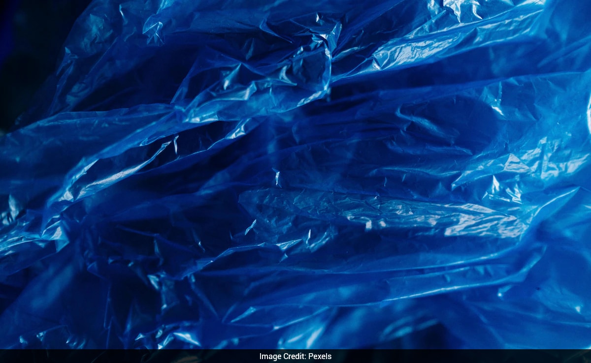 Scientists Create Biodegradable Plastic to Fight Microplastics