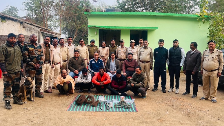 सूरजपुर में बाघ की मौत पर बड़ा खुलासा, पीएम रिपोर्ट ने चौंकाया; जंगल में घूम रहा शिकारियों का गैंग!