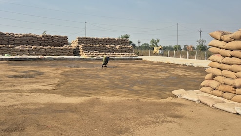 बलौदा बाजार में धान खरीदी: 28000 किसानों ने बेचा 15 लाख क्विंटल से अधिक धान, समितियों ने पार की बफर लिमिट