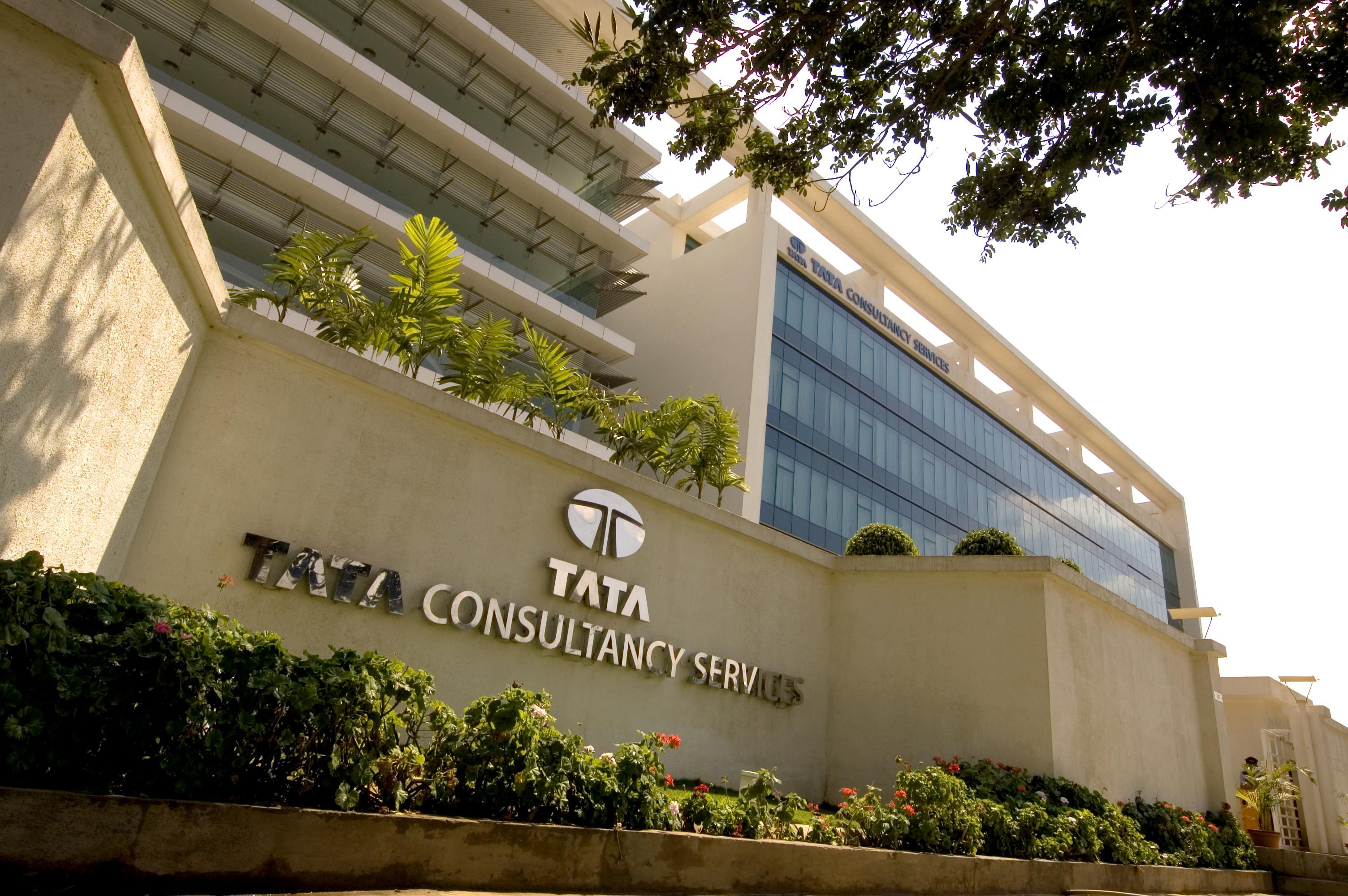 Q2 Results Updates: TCS Net Profit Falls 1%, IREDA Revenue Up 38%