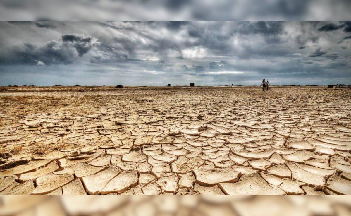 Latest and Breaking News on NDTV Latest and Breaking News on NDTV