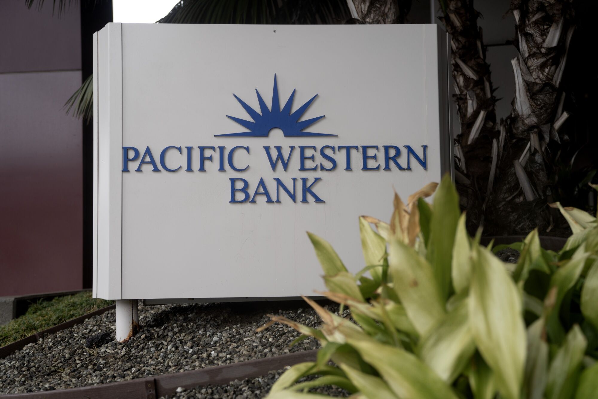PacWest, First Horizon Slump, Reigniting Regional Bank Jitters