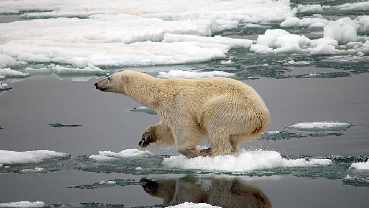 125 सालों का रिकॉर्ड टूटा! पृथ्वी के इस हिस्से में तेजी से पिघल रही बर्फ, आ रही तबाही?