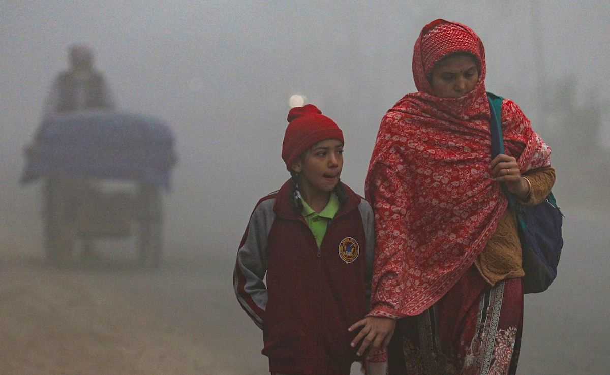 Latest and Breaking News on NDTV